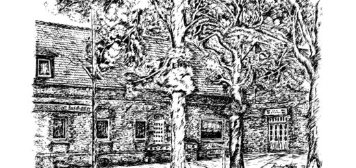 Busch in Atter Osnabrück - Zeichung gravieren CO2 Laser